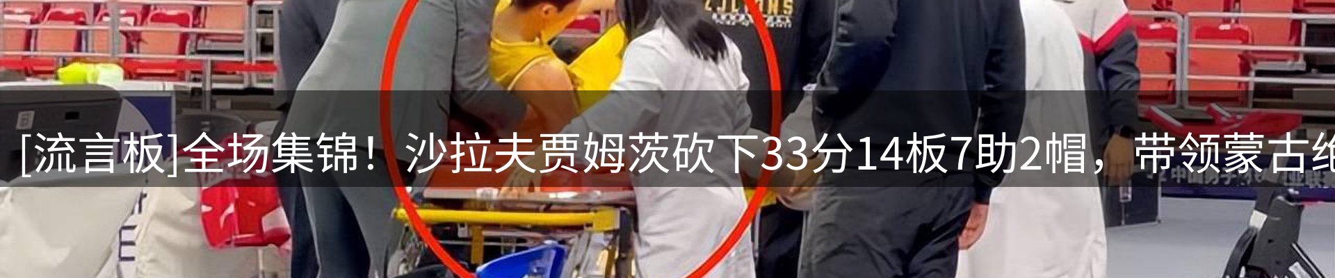 行业报道